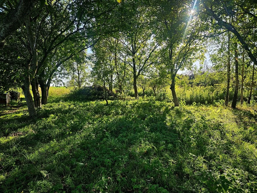 Działka pod dom jednorodzinny lub bliźniaka -Smugi - 3