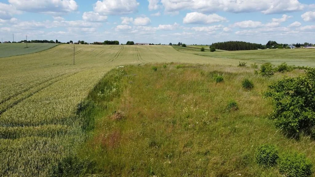 Snopków, 2ha,zmiana MPZP w trakcie - 3