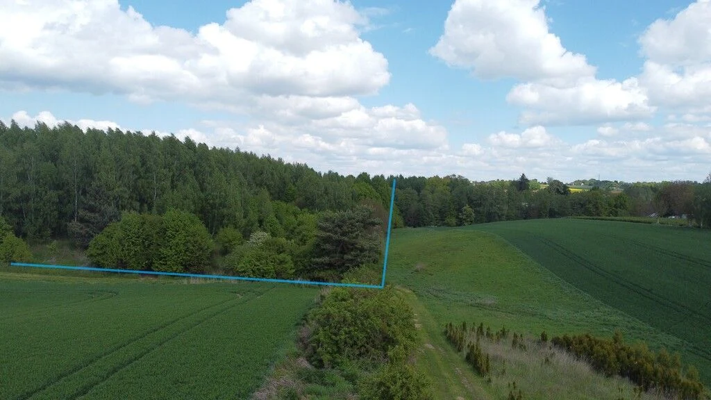 Działka 2,15 ha z potencjałem koło Nałęczowa.