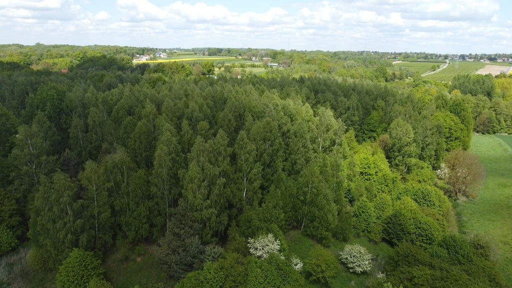 Działka 2,15 ha z potencjałem koło Nałęczowa. - 5