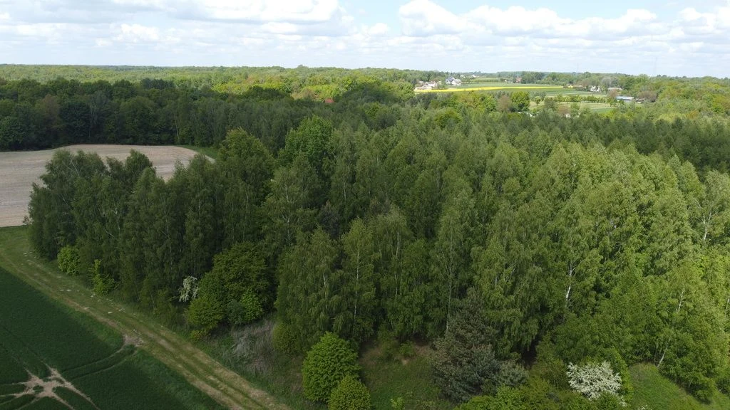 Działka 2,15 ha z potencjałem koło Nałęczowa. - 4