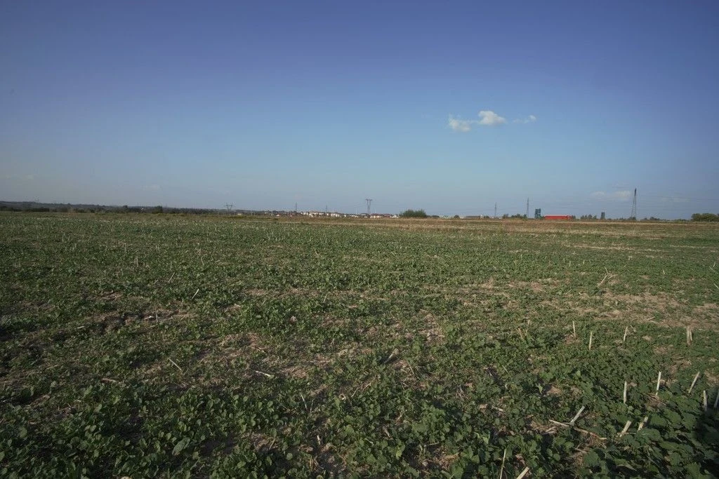 Działka 0,82ha U/MN Wólka gm. Długie pod Lublinem. - 108905758.jpg