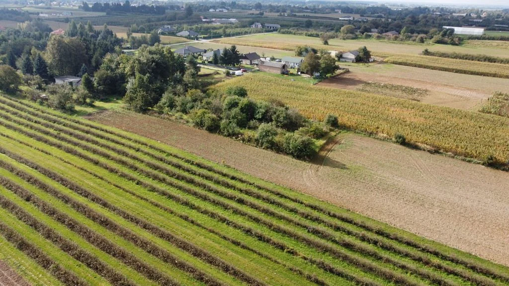Działka, Motycz, 8.5ar, budownictwo jednorodzinne - 5