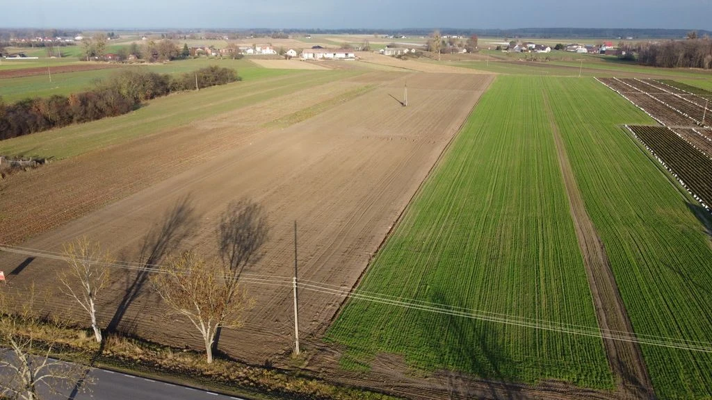 Działka z WZ w Helenowie/Policzna 16 km od Puław - 3