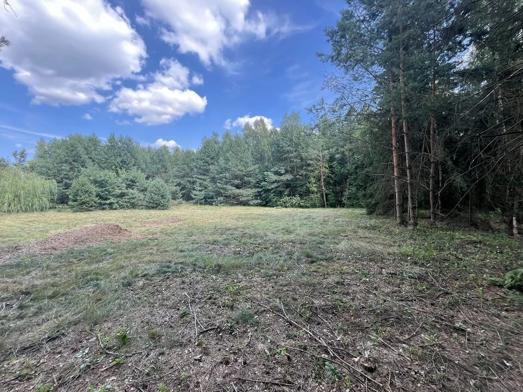 Działka 3117 m2 pośród drzew w Kowali gm. Puławy. - 3