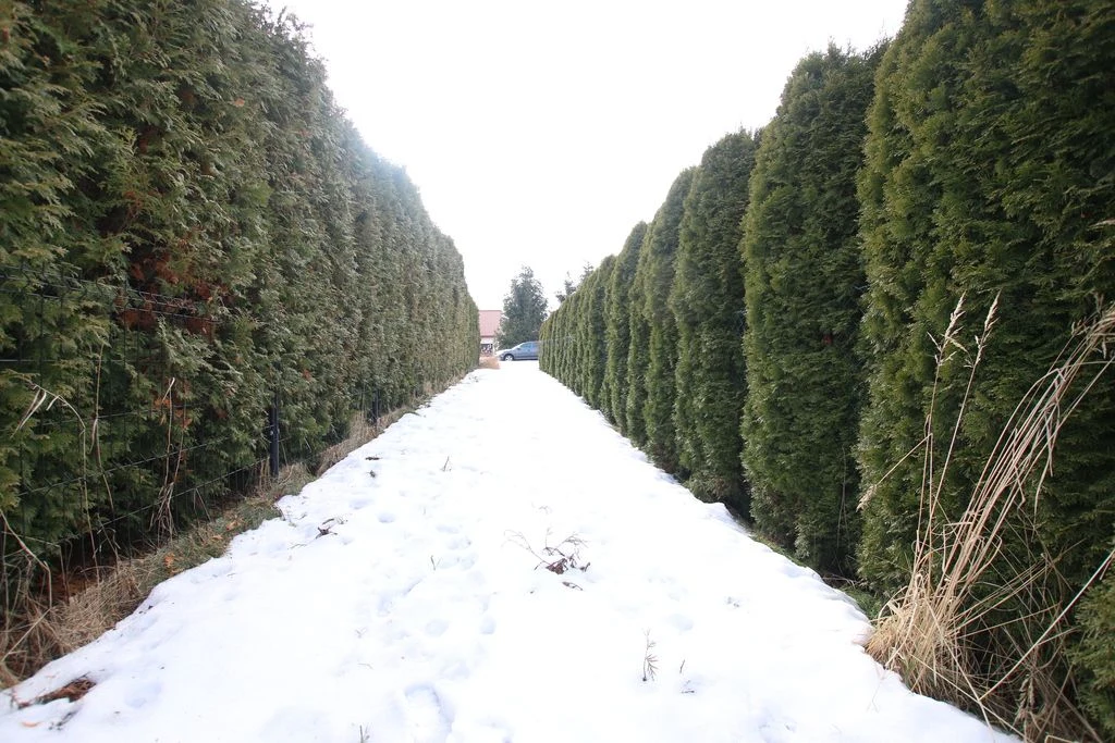 Działka budowlana Turka 18a (tylko 8km do Lublina) - 5