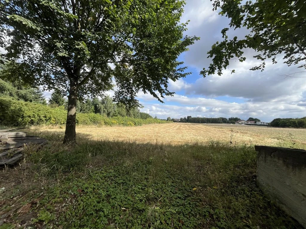 Siedlisko - Tomaszowice -dom+11000m2 działki - 4