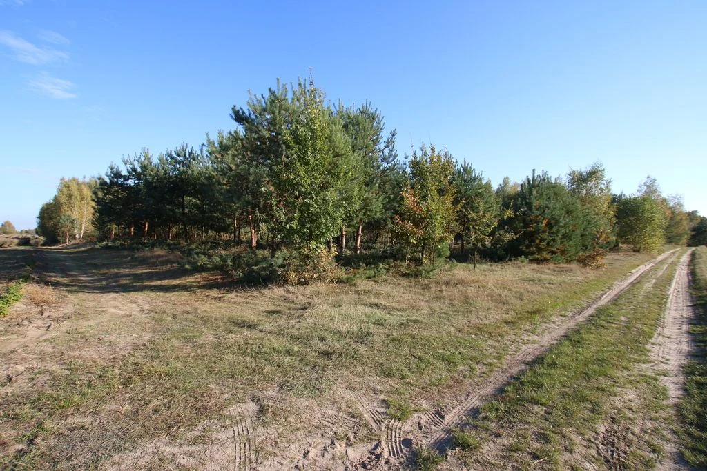 Działka budowlana 15 ar Kozioł g. Baranów - 5