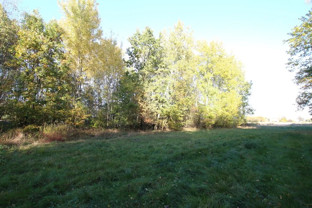 Działka budowlana 15 ar Kozioł g. Baranów - 4