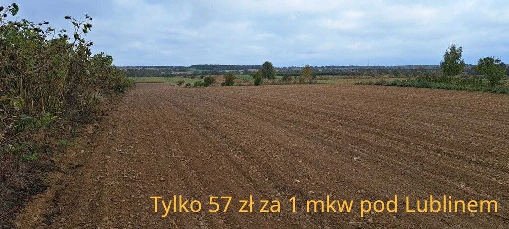 Działka  w bliskiej odległości od Lublina.