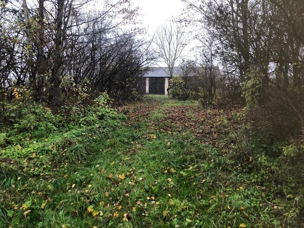 Anielpol - działka 5200m2 - 5