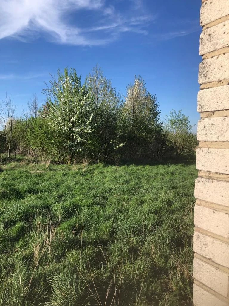 Anielpol - działka 5200m2 - 4