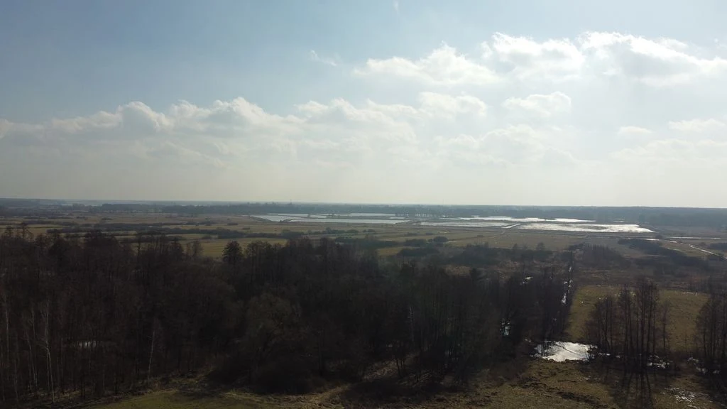 Piękna działka rolno-budowlana, Żminne, Parczew. - 111107664.jpg