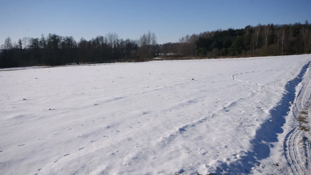 Piękna działka rolno-budowlana, Żminne, Parczew. - 4