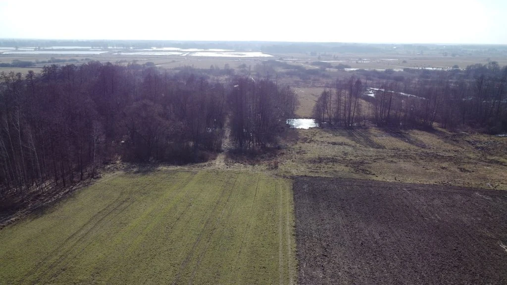 Piękna działka rolno-budowlana, Żminne, Parczew. - 2