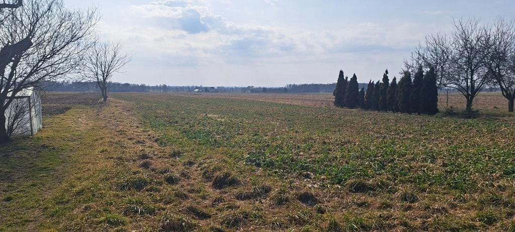 Radawiec Mały. Działka z projektem i pozwoleniem. - 111224459.jpg