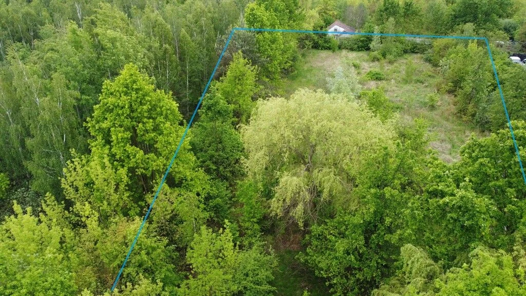 Działka budowlana 4587 m2 we Wsoli koło Radomia. - 3