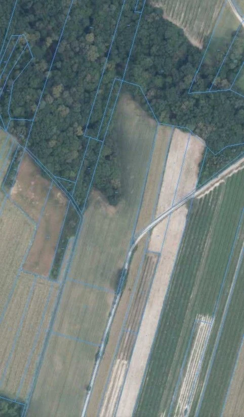 Bartłomiejowice gm. Wąwolnica-działka rolna - 111596007.jpg