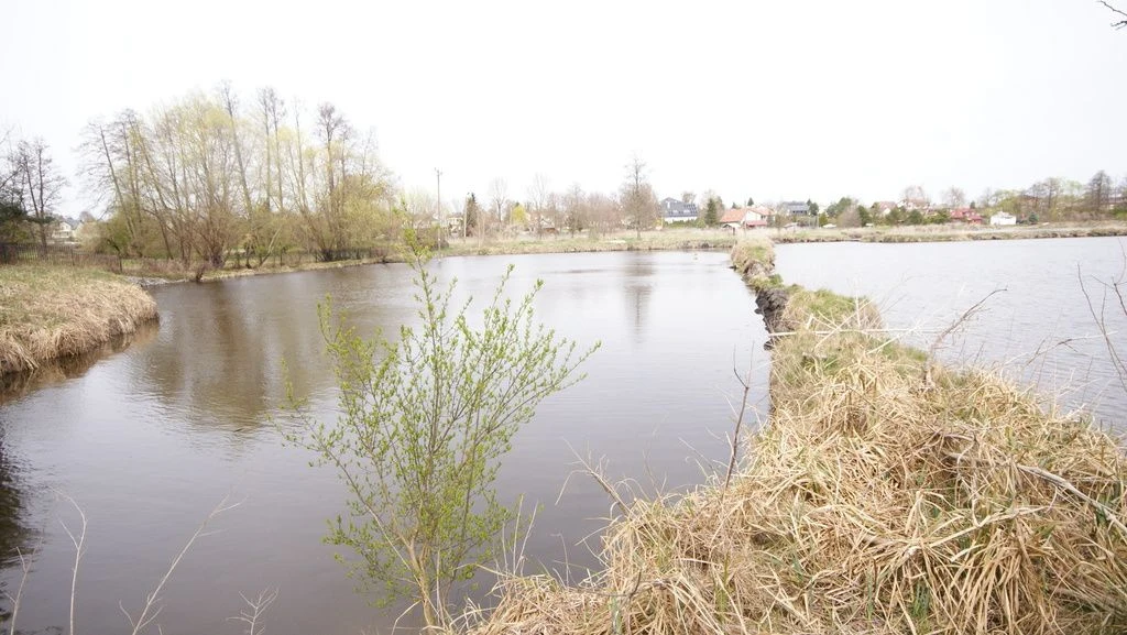 5,42 ha, Stawy rybne, las, Zemborzyce, Lublin - 3