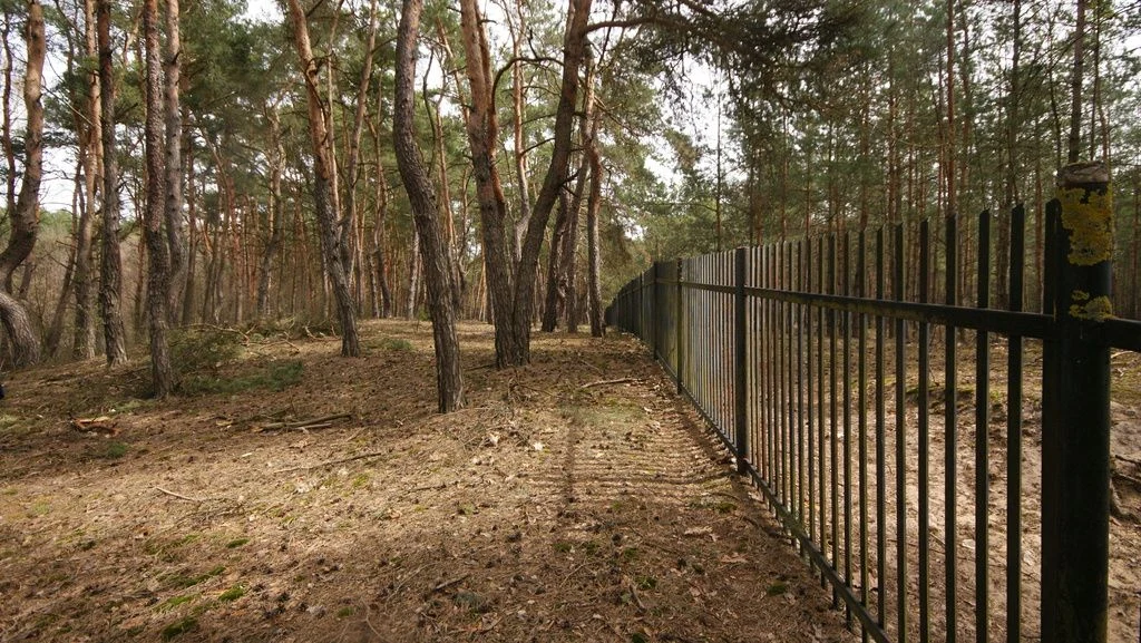 5,42 ha, Stawy rybne, las, Zemborzyce, Lublin - 4