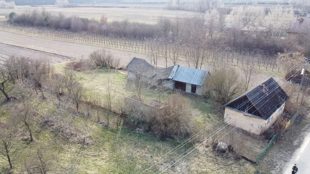 Siedlisko 3000 m2 w Boiskach gm. Solec nad Wisłą. - 4