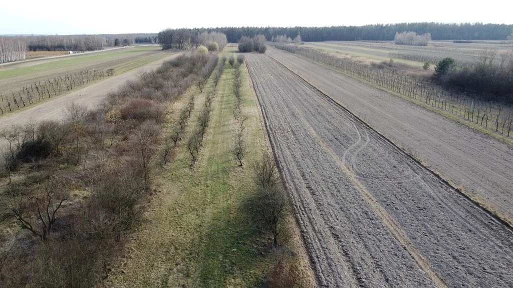 Siedlisko 3000 m2 w Boiskach gm. Solec nad Wisłą. - 3