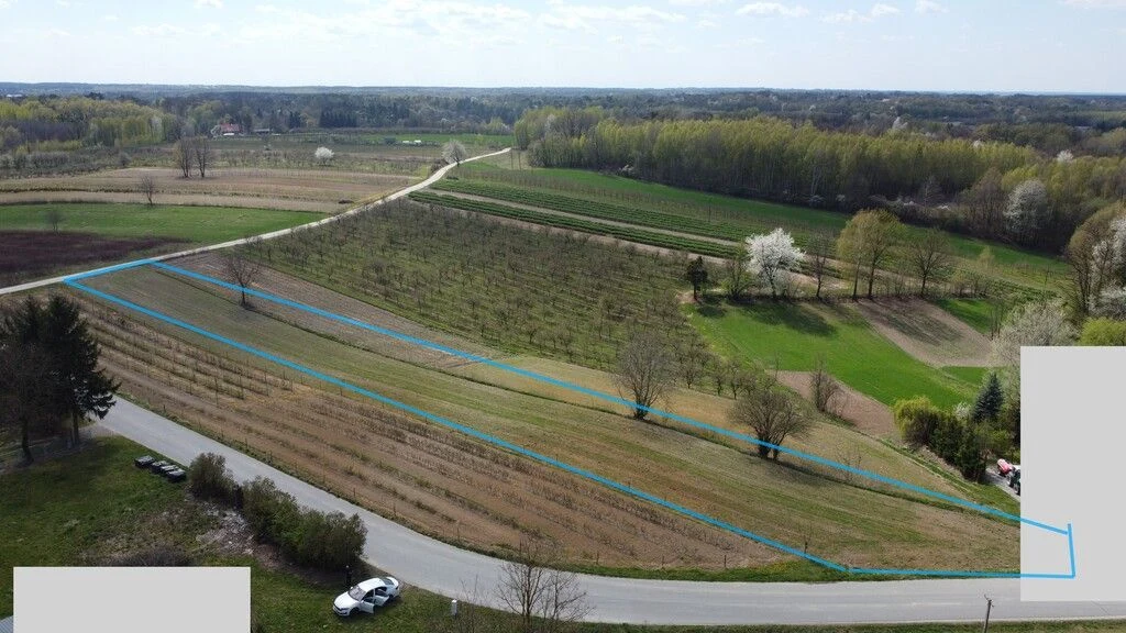 Działka pod zabudowę 3318 m2 Góry Kazimierz Dolny. - 2