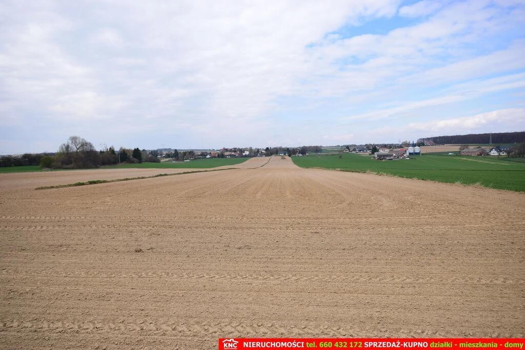 Duża działka rolno-bud. blisko lasu i zalewu. - 111874198.jpg