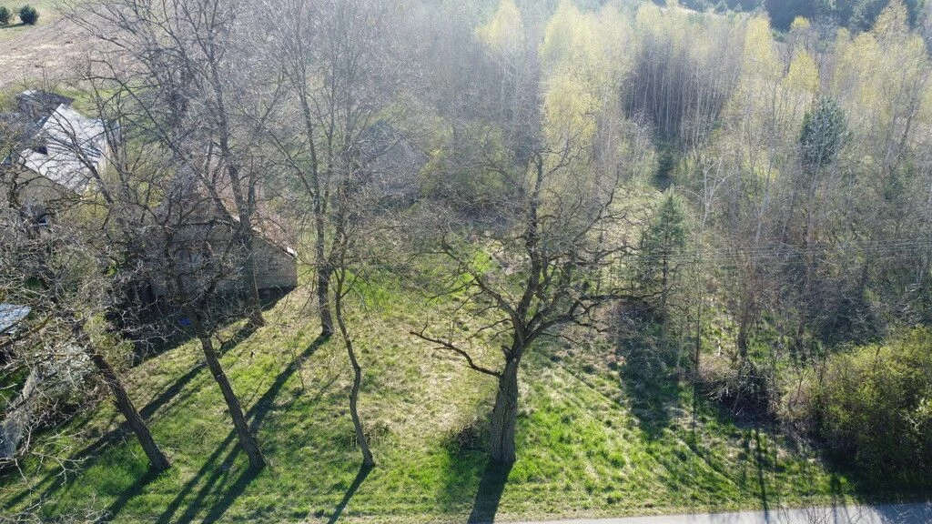 Dziełka rolna w Borowcu gm. Ciepielów pow. lipski. - 2