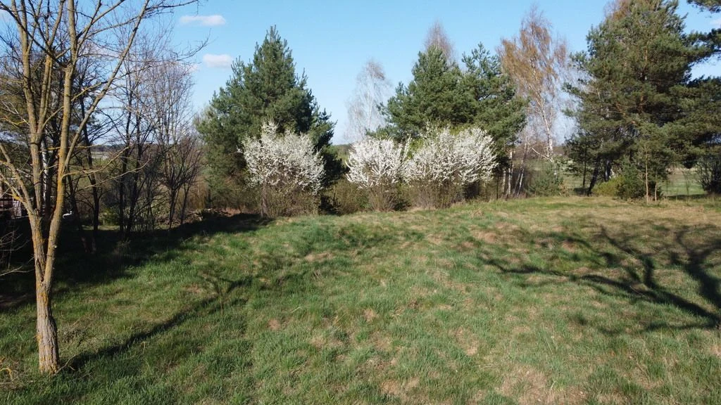 Dziełka rolna w Borowcu gm. Ciepielów pow. lipski. - 5