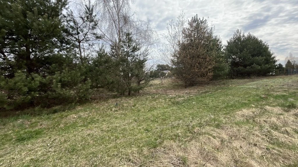 Działka pod zabudowę 991 m2 Kłoda gm. Magnuszew. - 2