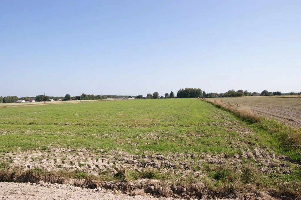 Duża działka jezioro Krasne (podział na 8 działek) - 2