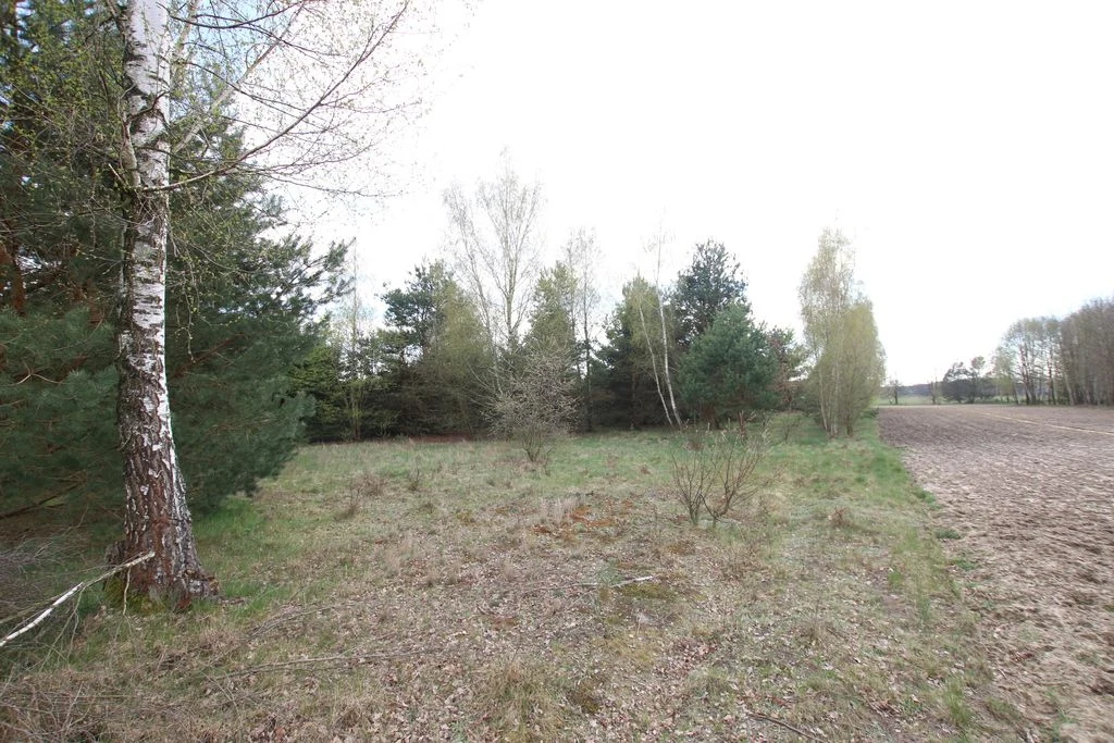 Duża działka 0,6 ha rolno budowlana Wola Lisowska - 3