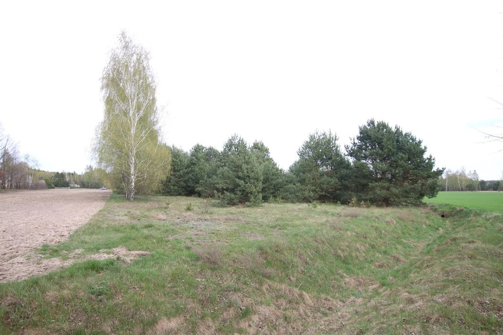 Duża działka 0,6 ha rolno budowlana Wola Lisowska - 5