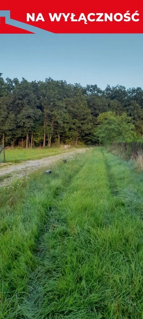 Ładna, uzbrojona działka pod lasem-33a-Wilczopole - 3