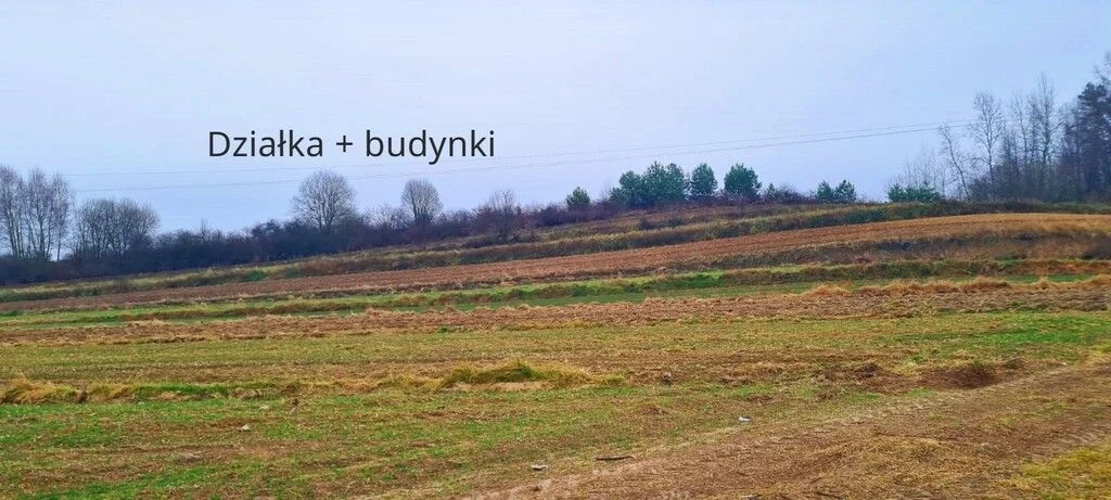 Obiekt produkcyjny z dużą ilością ziemi-gm.Wysokie - 113219064.jpg