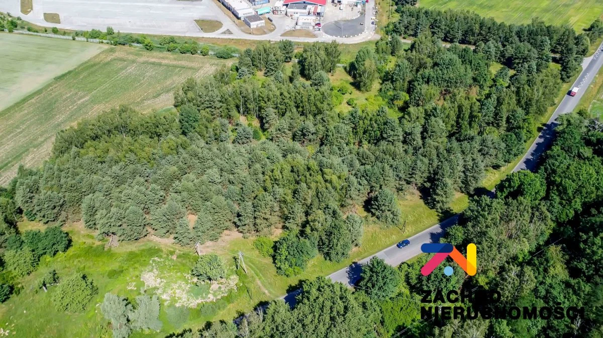 PREZENTUJEMY NA SPRZEDAŻ DZIAŁKĘ NR 31/4 O POWIERZCHNI 37 400 mkw USYTUOWANĄ W SĘKOWICACH W POWIECIE KROŚNIEŃSKIM. - 167130227-1l.jpg