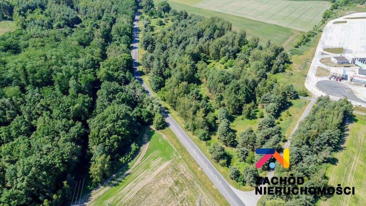 PREZENTUJEMY NA SPRZEDAŻ DZIAŁKĘ NR 31/4 O POWIERZCHNI 37 400 mkw USYTUOWANĄ W SĘKOWICACH W POWIECIE KROŚNIEŃSKIM. - 5