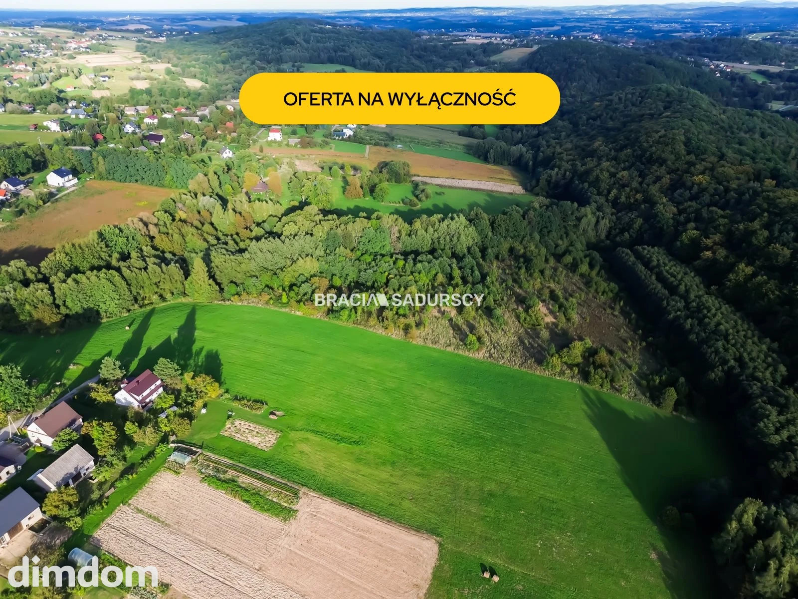 Duża działka z potencjałem inwestycyjnym – 2,52 ha