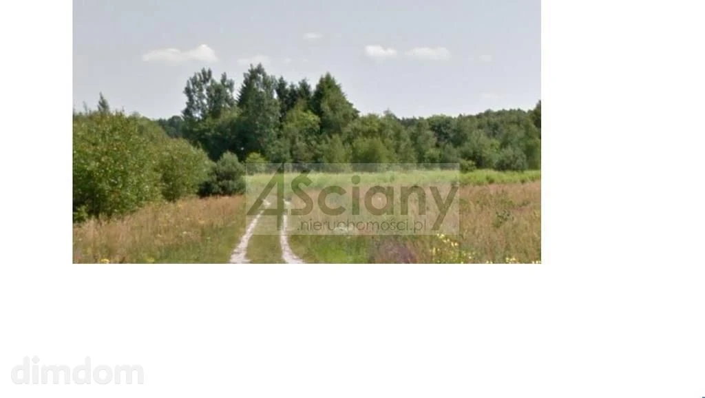 Strzeniówka - działka na granicy lasu
