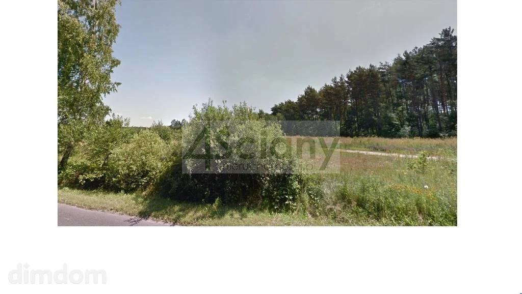 Las i Strzeniówka = dom