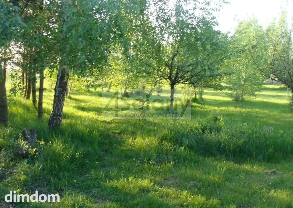 Do sprzedania działka budowlana o powierzchni 3023 m2 w Grodzisku Maz. (Łąki).