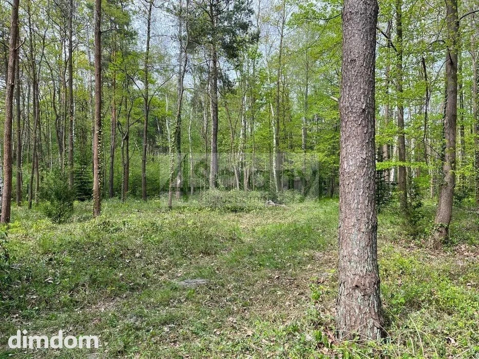 Do sprzedania działka budowlana o powierzchni 2761 m2 w Podkowie Leśnej koło Grodziska Maz.