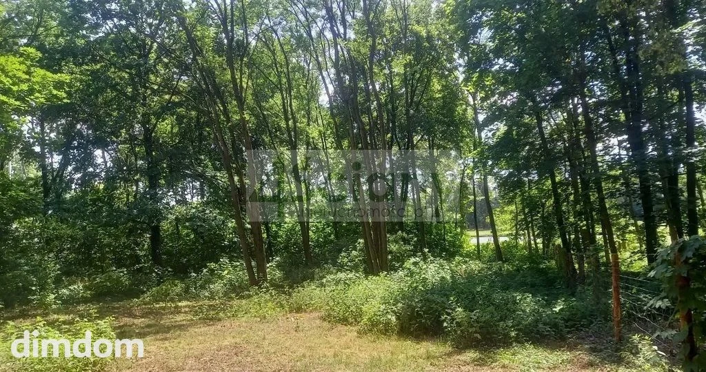 Do sprzedania działka budowlana o powierzchni 2243 m2 w Podkowie Leśnej koło Grodziska Maz.