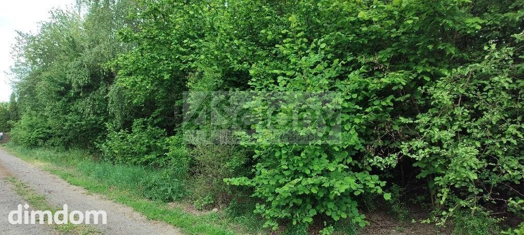 Na sprzedaż działka w miejscowości Krupia Wólka o powierzchni 2000 m2 składająca się z dwóch mniejszych działek po 1000 m2.