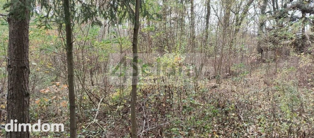 Działka budowlana1500 m² Ojrzanów