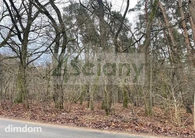 Do sprzedania działka budowlana o powierzchni 6500 m2 w Książenicach (Pieńki Książenickie) na granicy z Owczarnią.