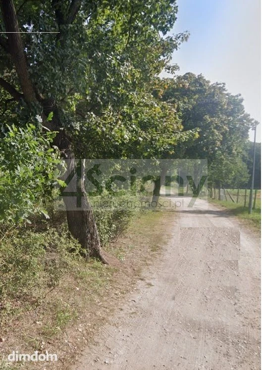 Do sprzedania działka budowlana (1002 m2) w cichej i zielonej części Rajszewa (gmina Jabłonna). W/g… - 4