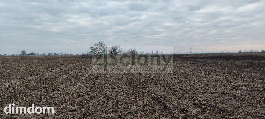 Działka zmeliorowana w Zaborówku