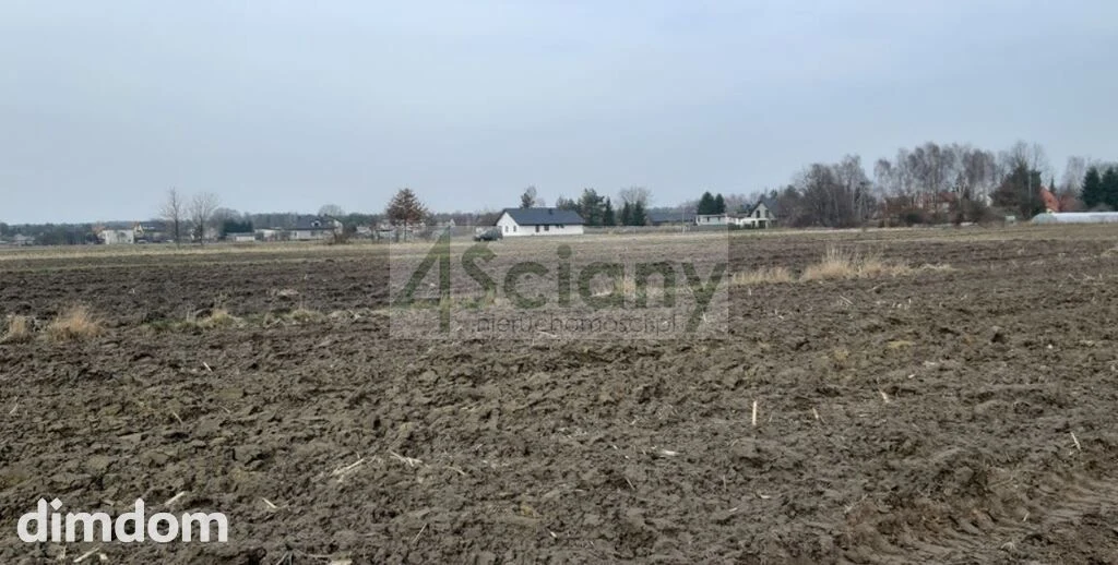 1000 m2 w Zaborówku